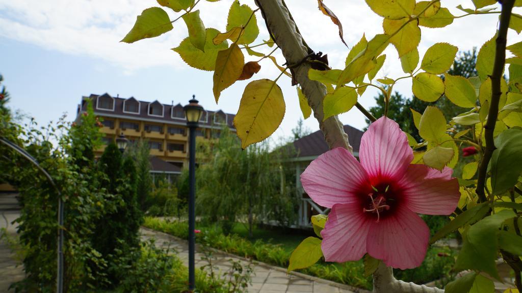River Side Hotel Mingachevir Eksteriør billede